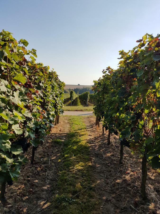 Kapellen-Drusweiler Weingut & Gaestehaus Nagel מראה חיצוני תמונה